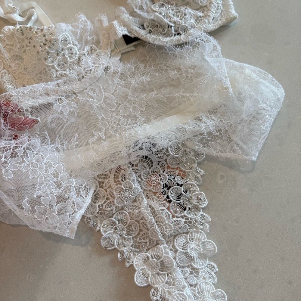 Victoria's Secret Designer Fashion Show 2015 Swarovski Crystal Bra & L Panty Set - Picture 9 of 16